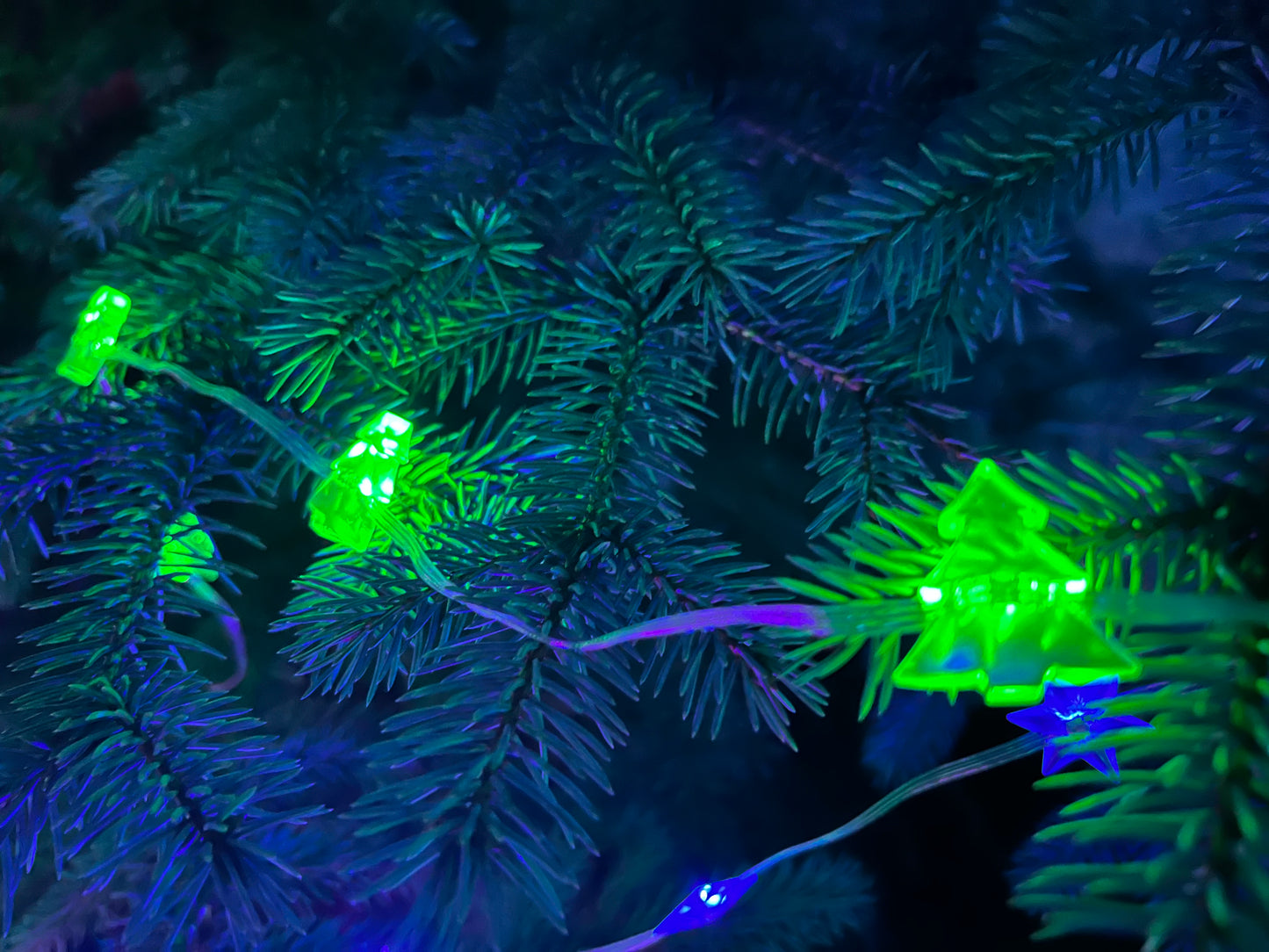 10m RGB LED String Lights – Remote & App Controlled (Indoor + Outdoor!)